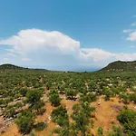 In Olive Groove House Peloponnesos Western Mani