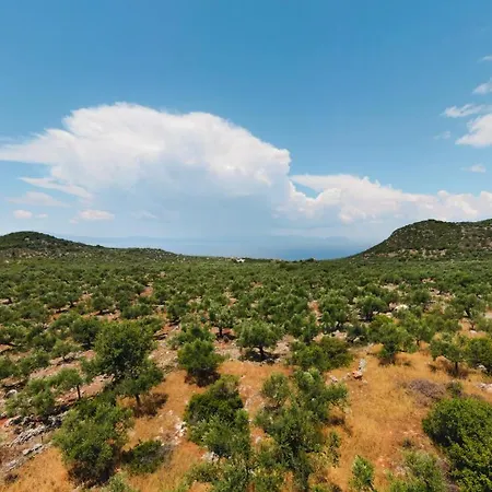 In Olive Groove House Peloponnesos Western Mani