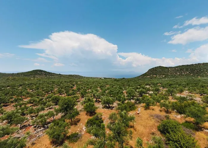 In Olive Groove House Peloponnesos Western Mani